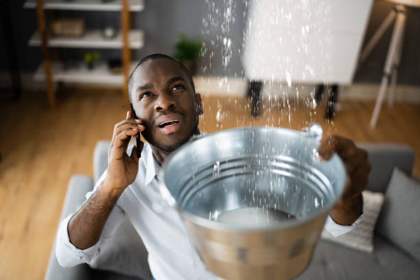 Best Basement water damage restoration  in Lake Norman Of Catawba, NC