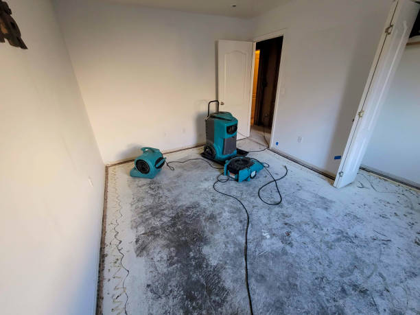 Best Water damage restoration services  in Lake Norman Of Catawba, NC