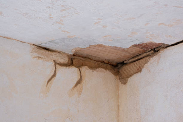 Best Carpet water damage restoration  in Lake Norman Of Catawba, NC