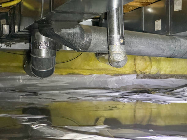 Best Basement water damage restoration  in Lake Norman Of Catawba, NC