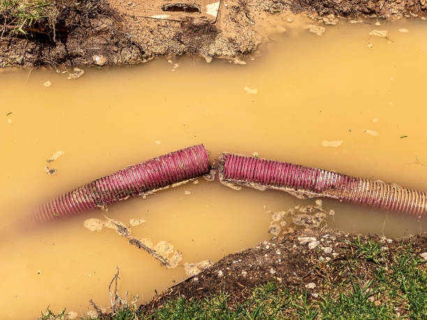  Lake Norman Of Catawba, NC Water damage restoration Pros